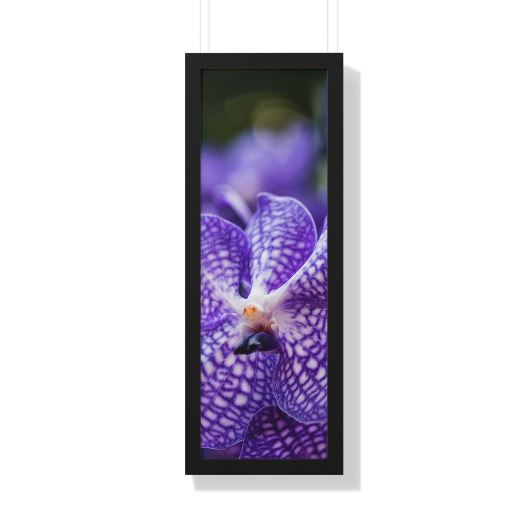 Orchid Detail - Framed Print - Visiting This World