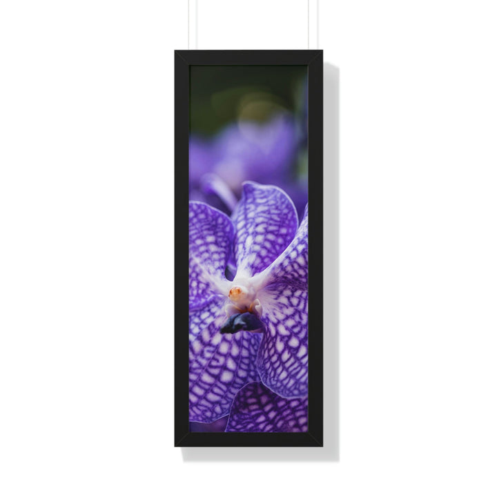 Orchid Detail - Framed Print - Visiting This World