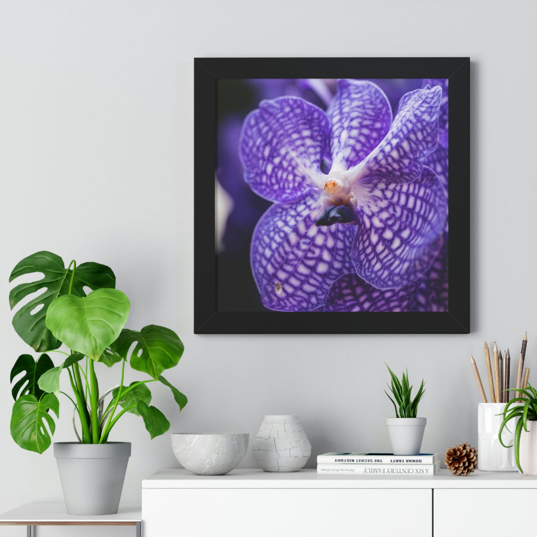 Orchid Detail - Framed Print - Visiting This World