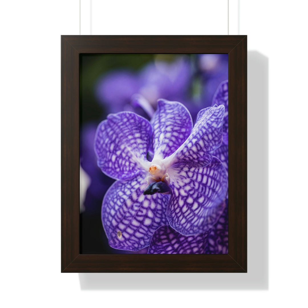 Orchid Detail - Framed Print - Visiting This World