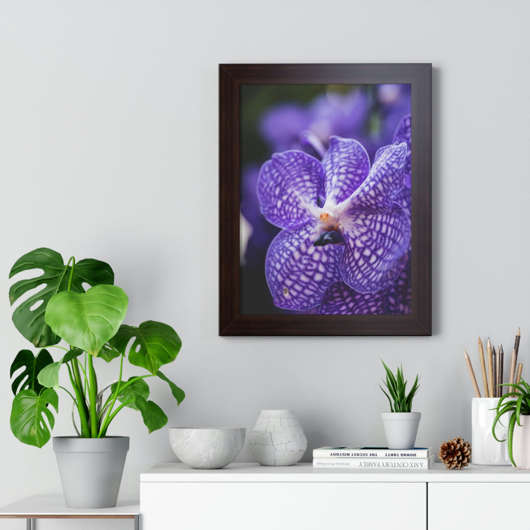 Orchid Detail - Framed Print - Visiting This World