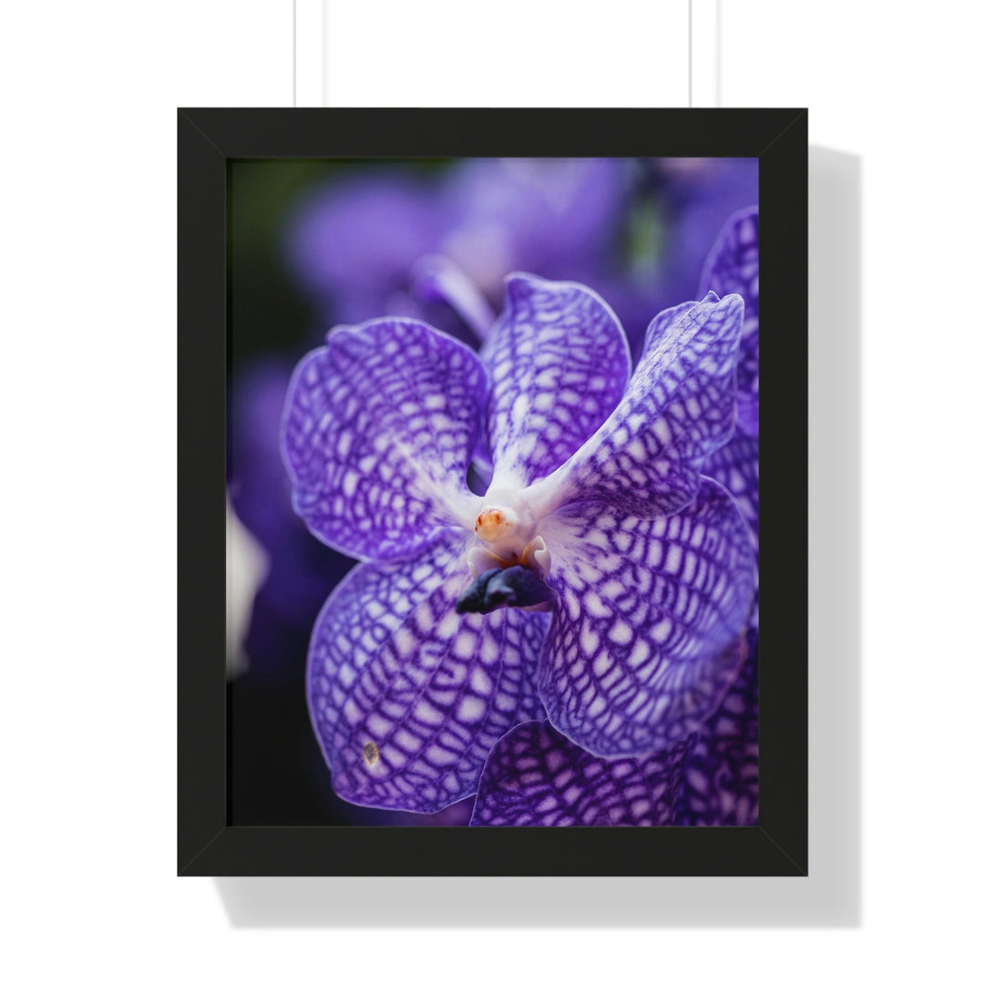 Orchid Detail - Framed Print - Visiting This World