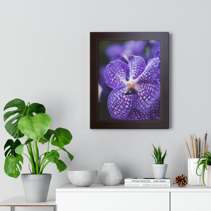 Orchid Detail - Framed Print - Visiting This World