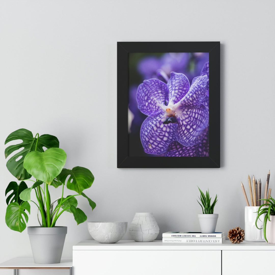 Orchid Detail - Framed Print - Visiting This World