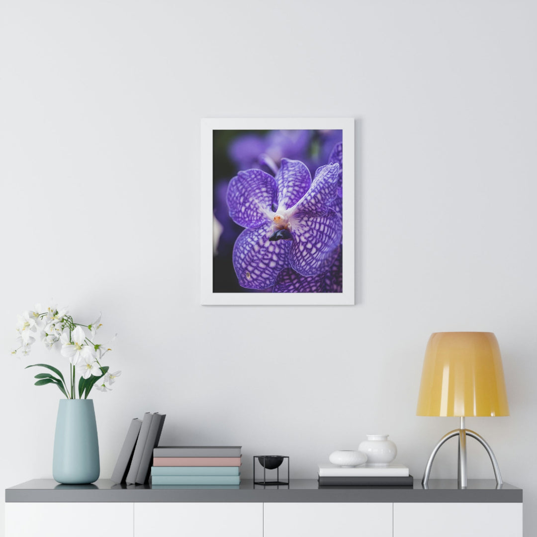 Orchid Detail - Framed Print - Visiting This World