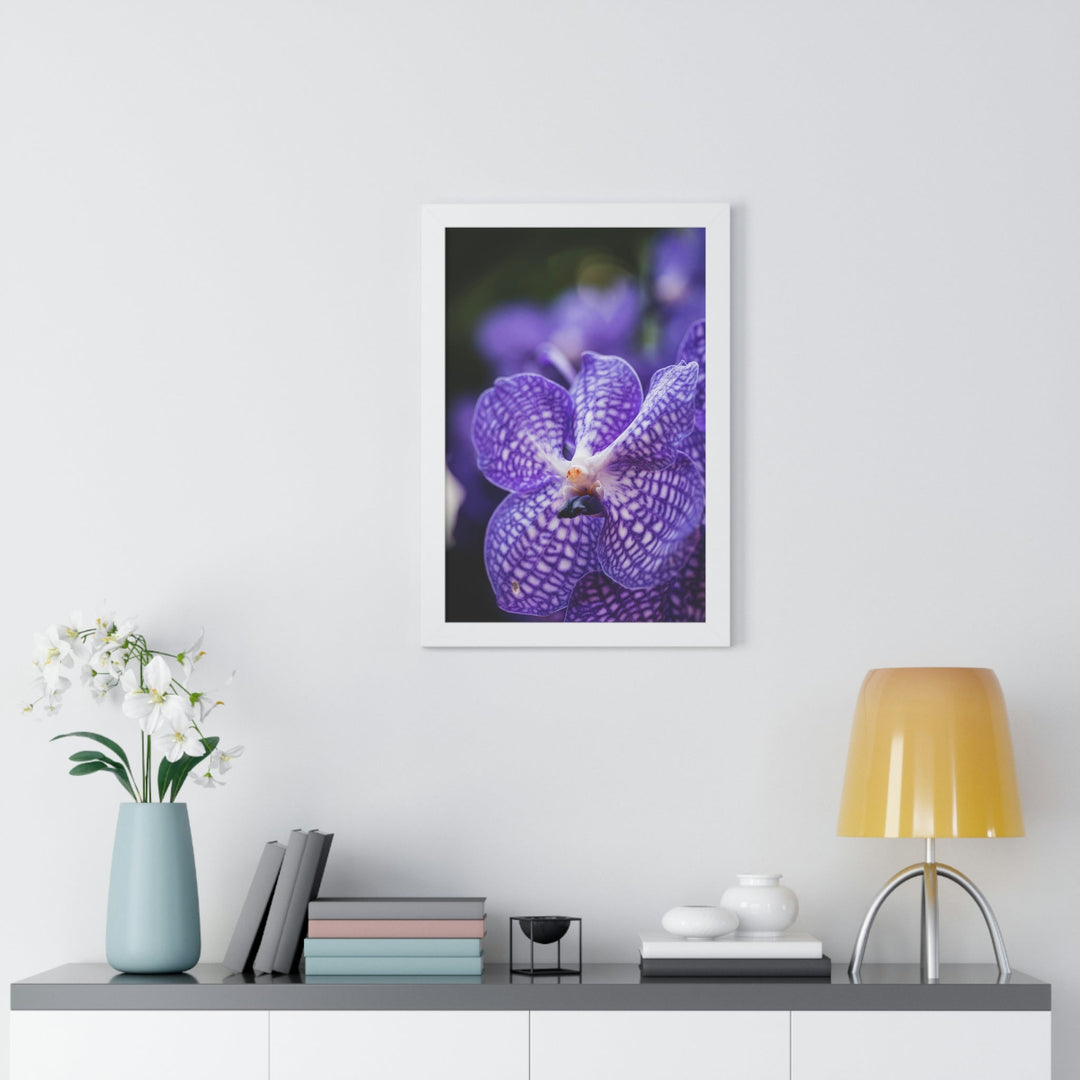 Orchid Detail - Framed Print - Visiting This World