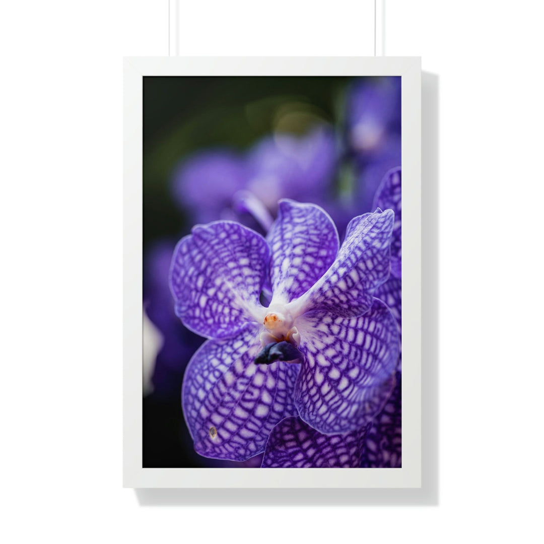 Orchid Detail - Framed Print - Visiting This World