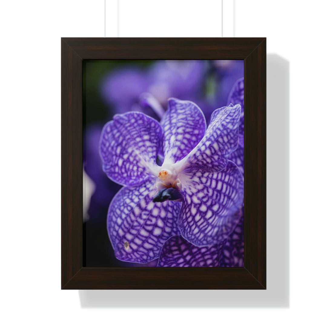 Orchid Detail - Framed Print - Visiting This World