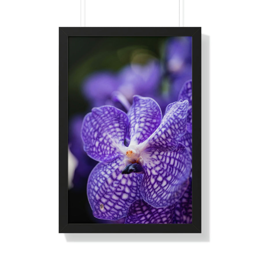 Orchid Detail - Framed Print - Visiting This World