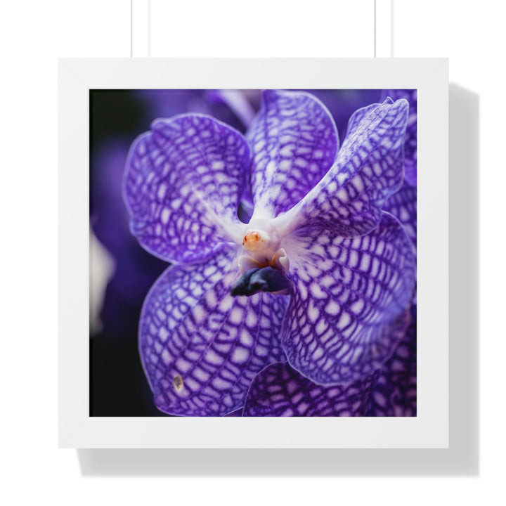 Orchid Detail - Framed Print - Visiting This World