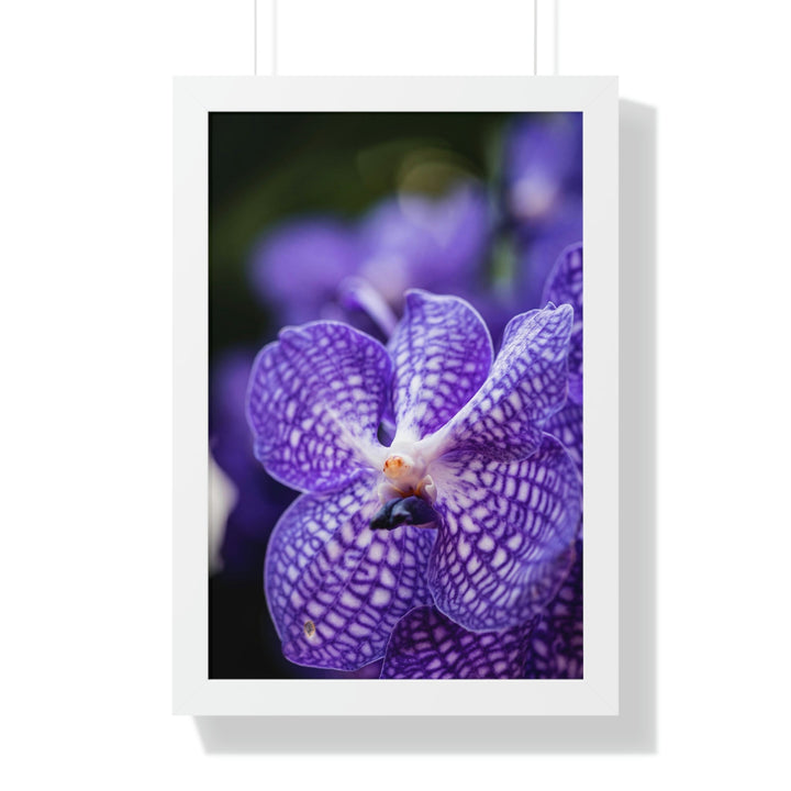 Orchid Detail - Framed Print - Visiting This World