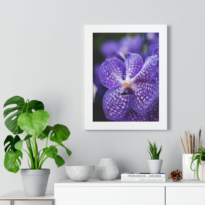 Orchid Detail - Framed Print - Visiting This World