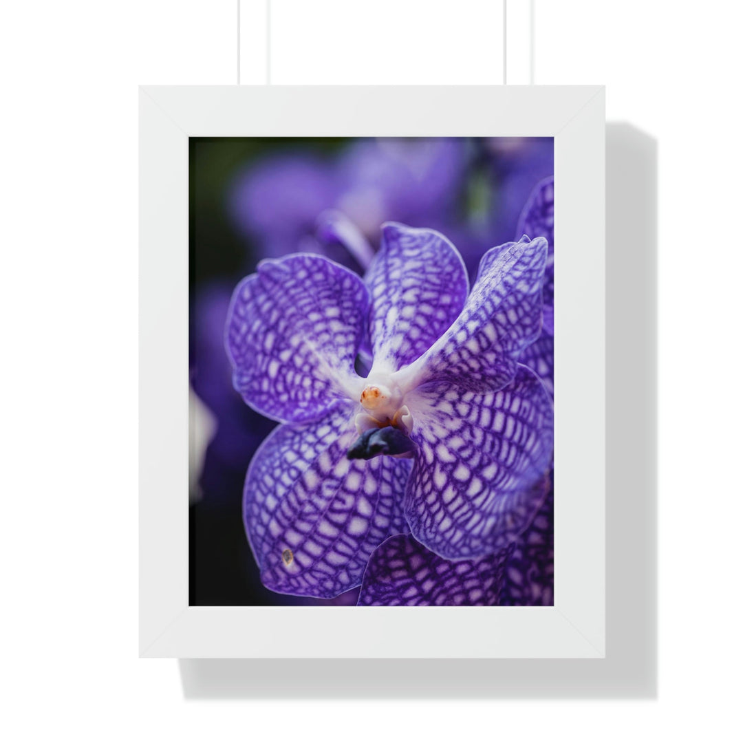 Orchid Detail - Framed Print - Visiting This World