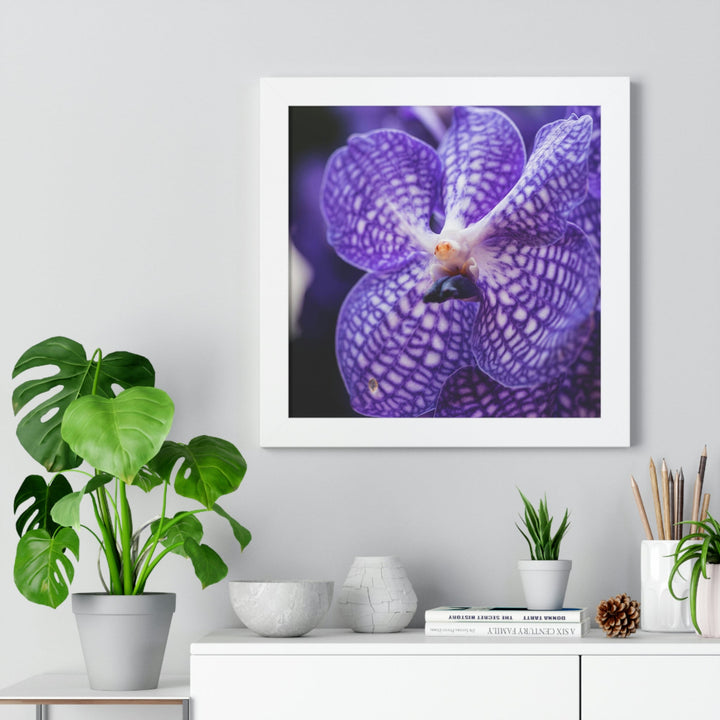 Orchid Detail - Framed Print - Visiting This World