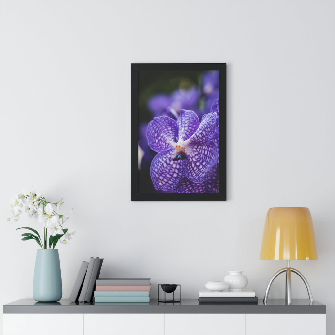 Orchid Detail - Framed Print - Visiting This World