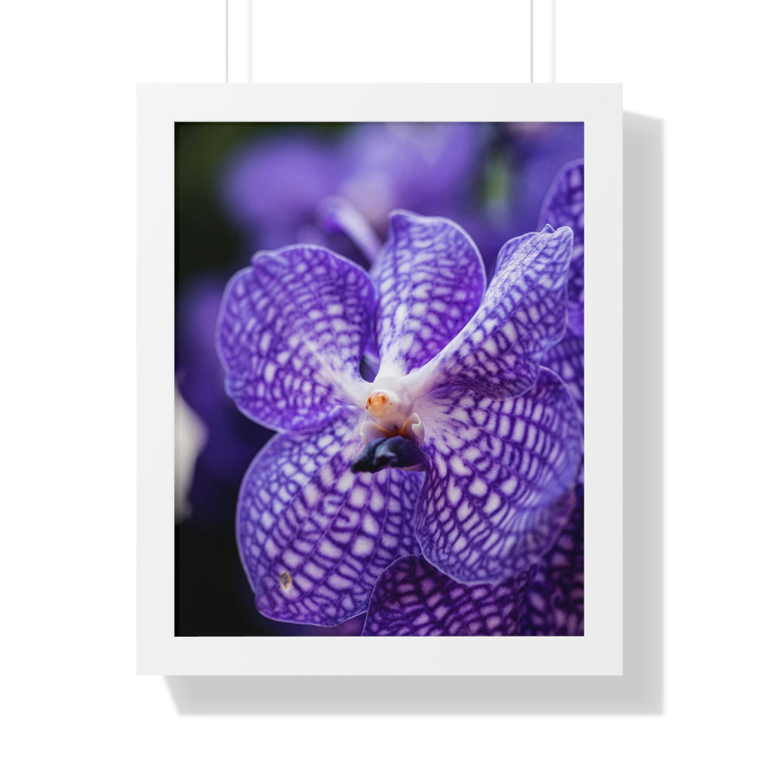 Orchid Detail - Framed Print - Visiting This World