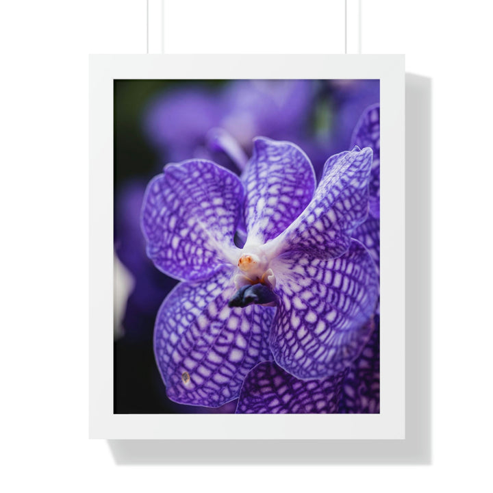 Orchid Detail - Framed Print - Visiting This World