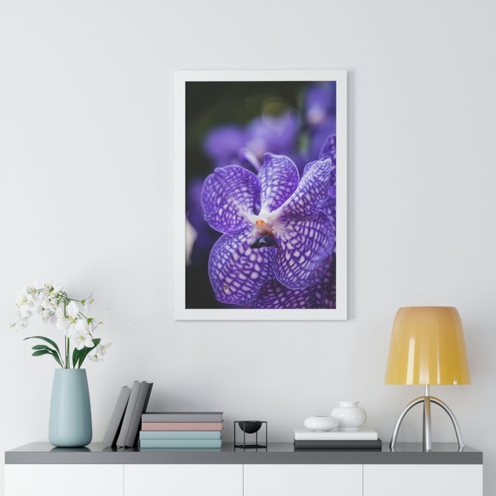 Orchid Detail - Framed Print - Visiting This World