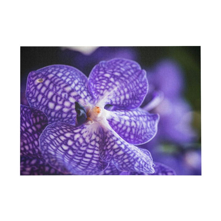 Orchid Detail - Nature Puzzle (96, 252, 500, 1000-Piece) - Visiting This World