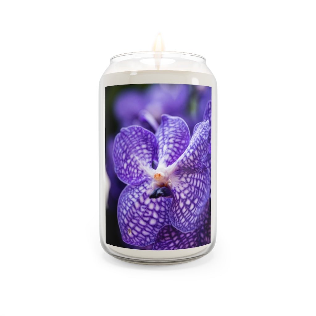 Orchid Detail - Scented Candle, 13.75oz - Visiting This World