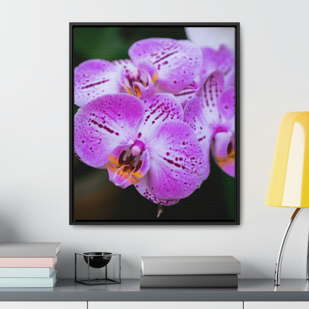 Orchid in Pink - Canvas with Frame - Visiting This World