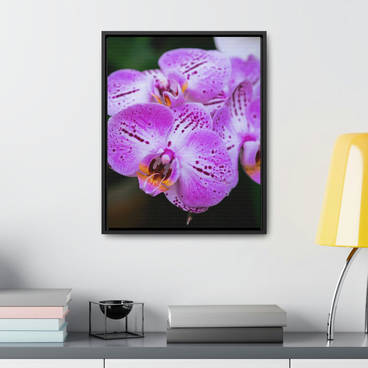 Orchid in Pink - Canvas with Frame - Visiting This World