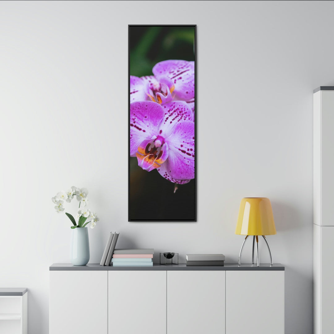 Orchid in Pink - Canvas with Frame - Visiting This World