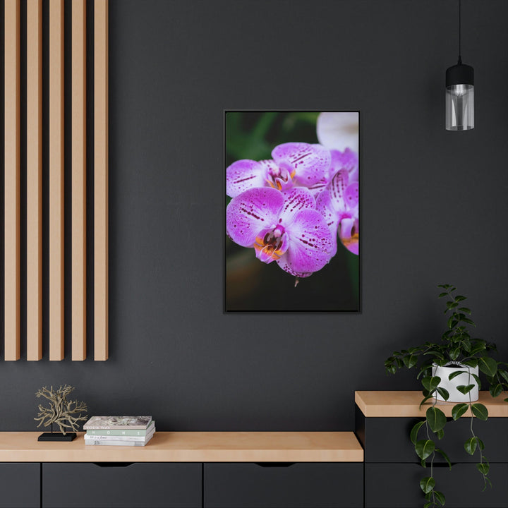 Orchid in Pink - Canvas with Frame - Visiting This World