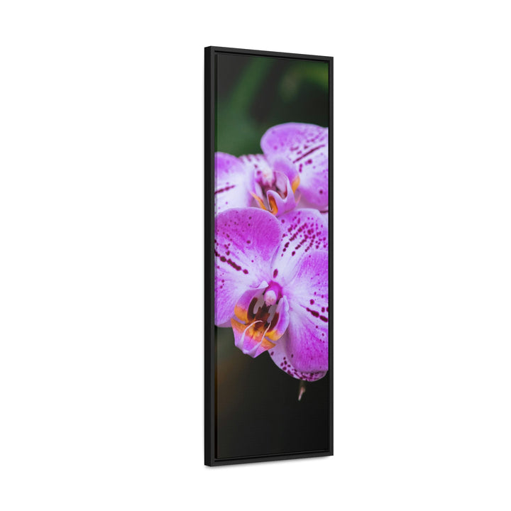 Orchid in Pink - Canvas with Frame - Visiting This World