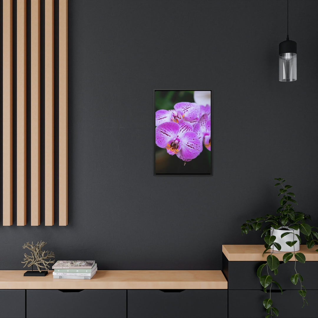 Orchid in Pink - Canvas with Frame - Visiting This World