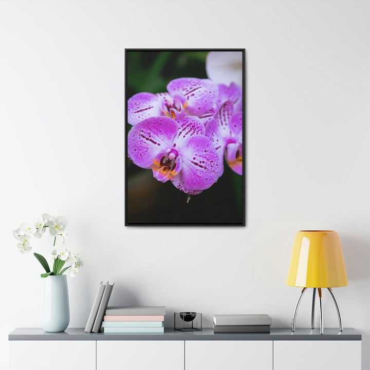 Orchid in Pink - Canvas with Frame - Visiting This World