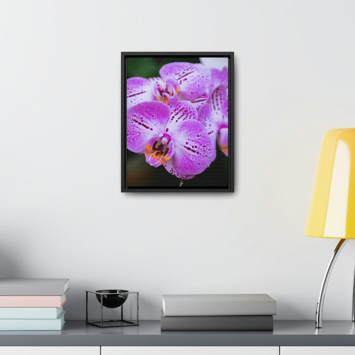 Orchid in Pink - Canvas with Frame - Visiting This World