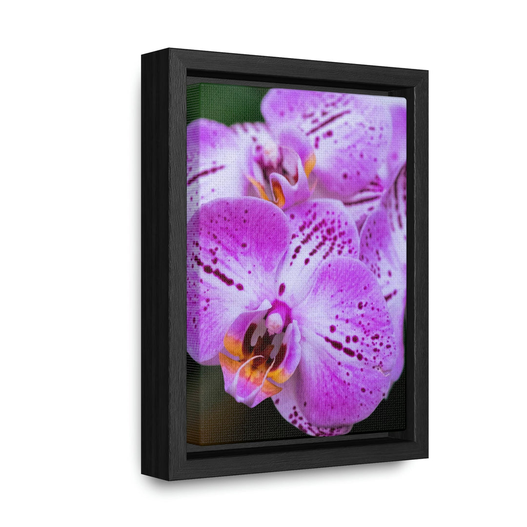 Orchid in Pink - Canvas with Frame - Visiting This World