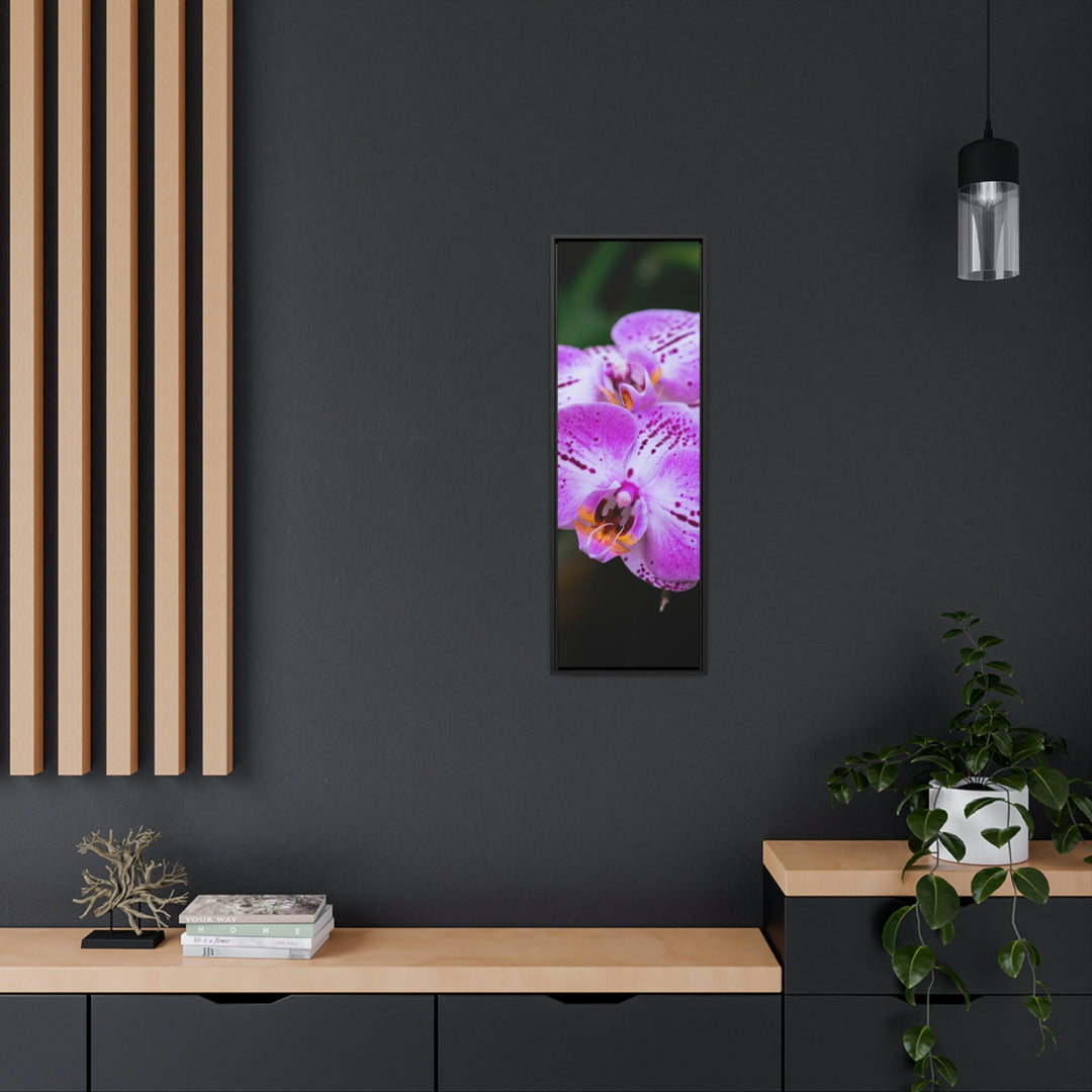 Orchid in Pink - Canvas with Frame - Visiting This World