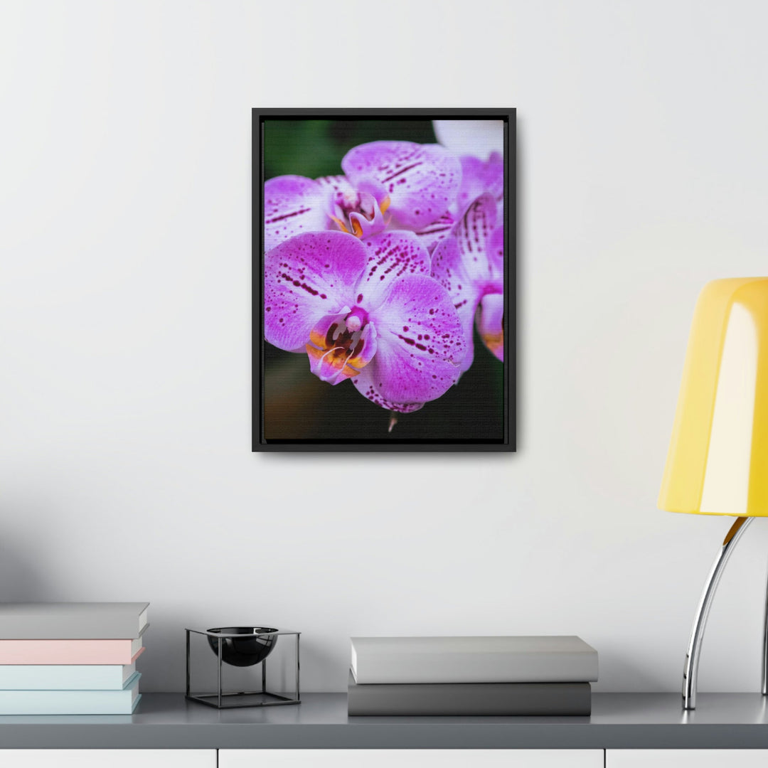 Orchid in Pink - Canvas with Frame - Visiting This World