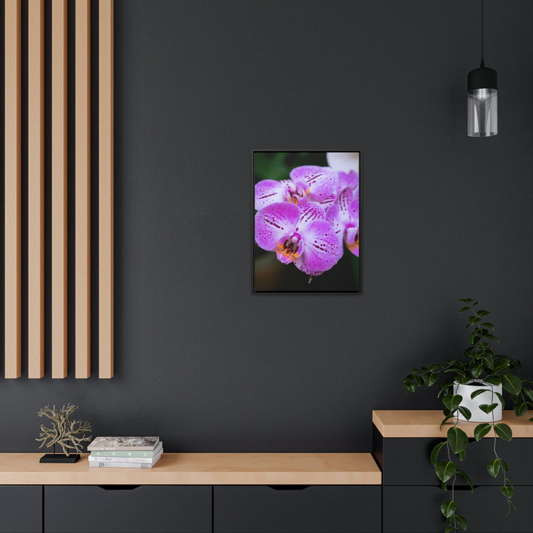 Orchid in Pink - Canvas with Frame - Visiting This World