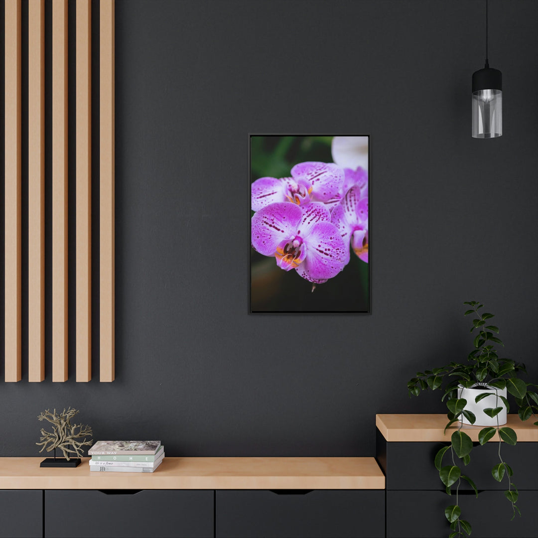 Orchid in Pink - Canvas with Frame - Visiting This World