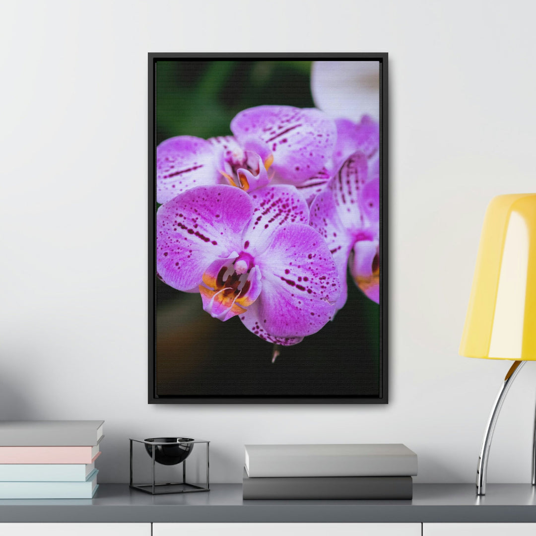 Orchid in Pink - Canvas with Frame - Visiting This World