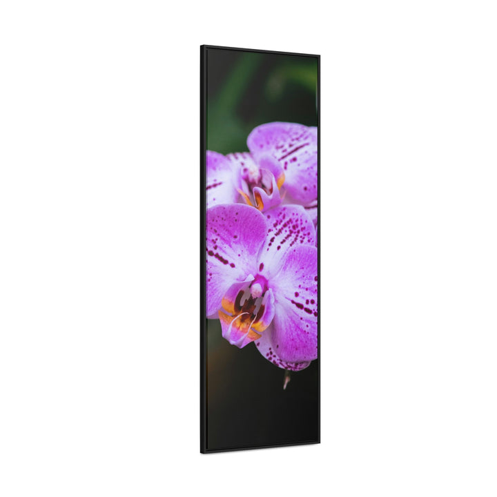 Orchid in Pink - Canvas with Frame - Visiting This World