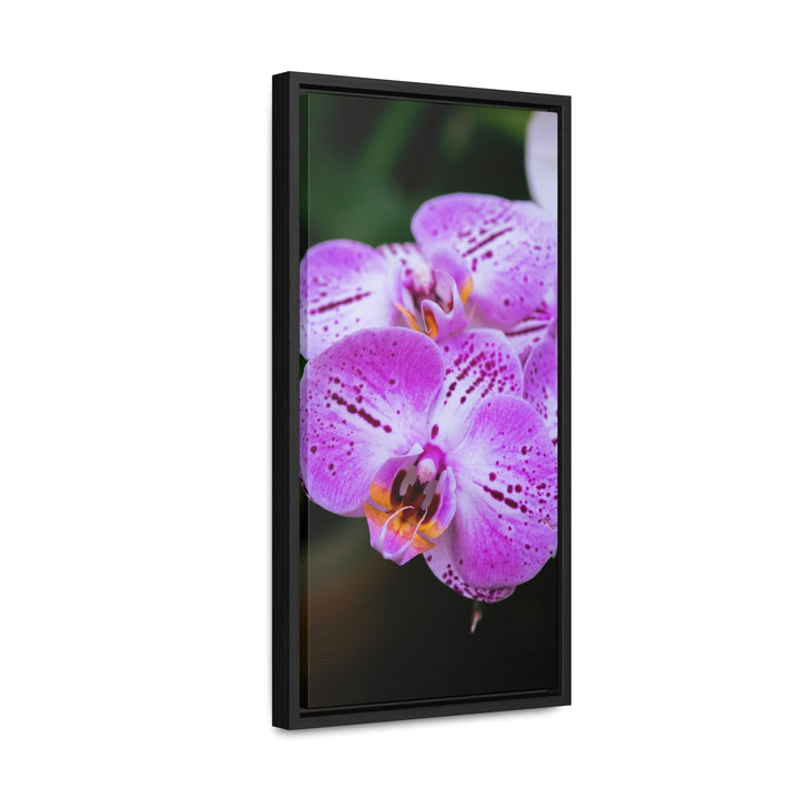 Orchid in Pink - Canvas with Frame - Visiting This World