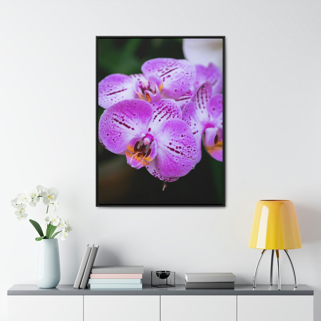 Orchid in Pink - Canvas with Frame - Visiting This World