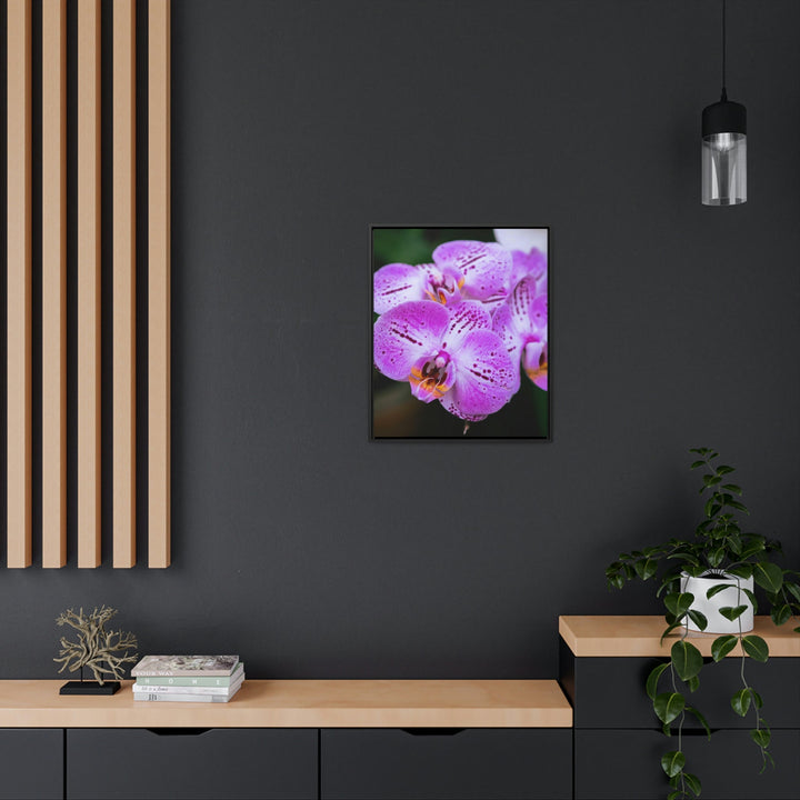 Orchid in Pink - Canvas with Frame - Visiting This World