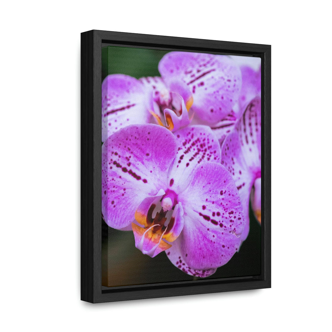 Orchid in Pink - Canvas with Frame - Visiting This World