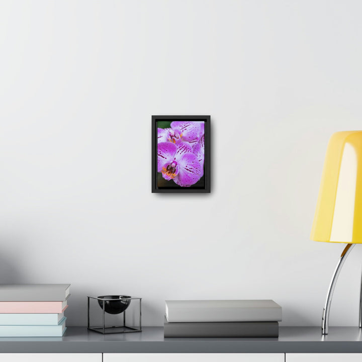 Orchid in Pink - Canvas with Frame - Visiting This World