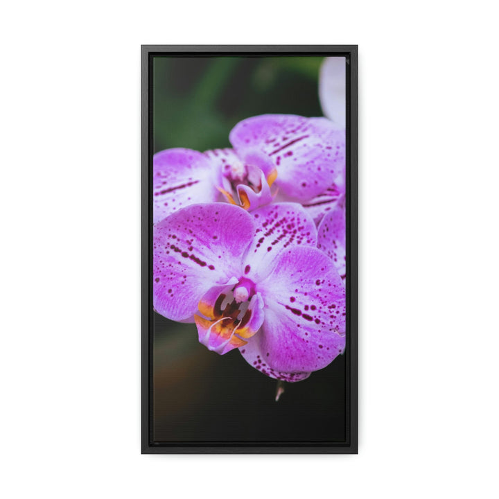 Orchid in Pink - Canvas with Frame - Visiting This World