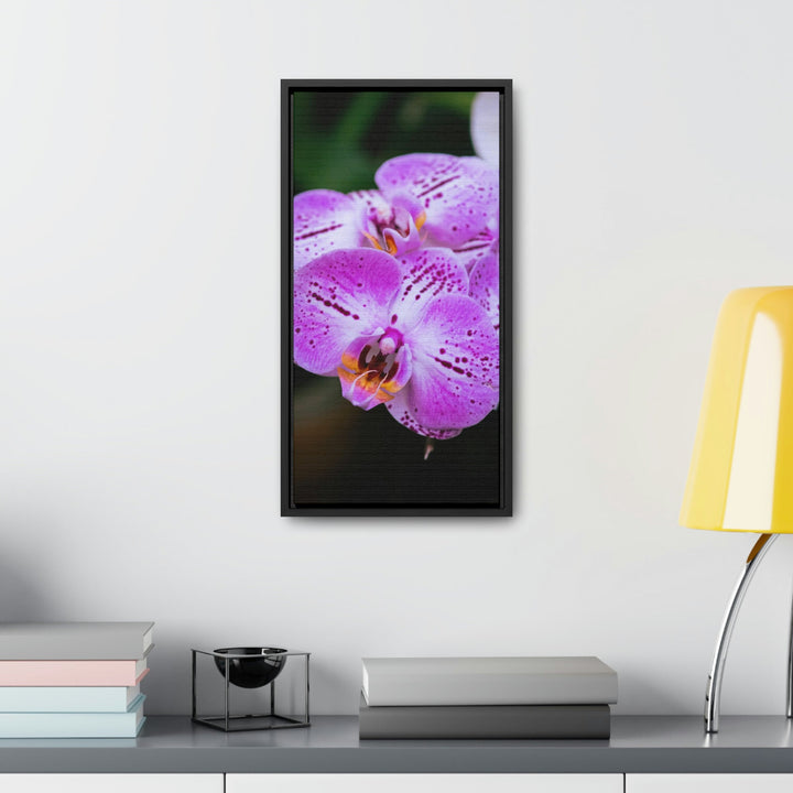 Orchid in Pink - Canvas with Frame - Visiting This World