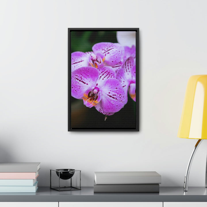 Orchid in Pink - Canvas with Frame - Visiting This World