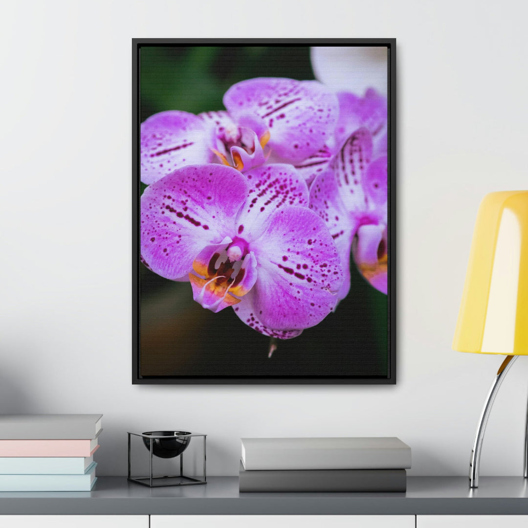 Orchid in Pink - Canvas with Frame - Visiting This World