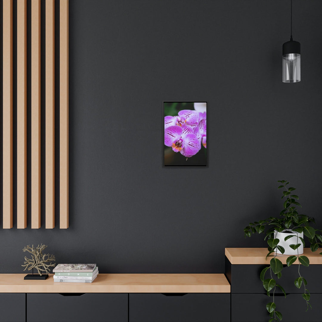 Orchid in Pink - Canvas with Frame - Visiting This World