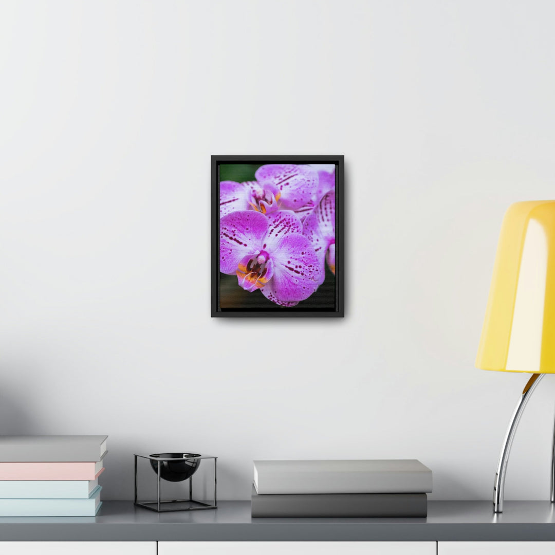 Orchid in Pink - Canvas with Frame - Visiting This World